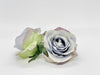 3" Light Dusty Blue Rose