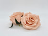3.5" Peachy Mauve Rose