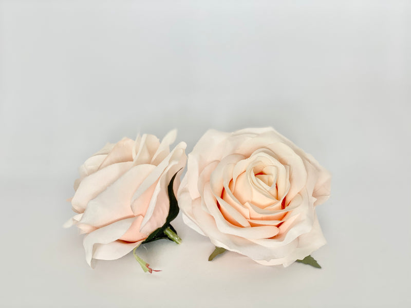 3.5" Light Peach Rose