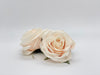 3.5" Light Peach Rose