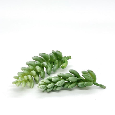 2.5" Artificial Green Succulent