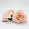 2.5" Dark Orange Rose