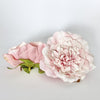 5" Dusty Pink Two Tone Peony