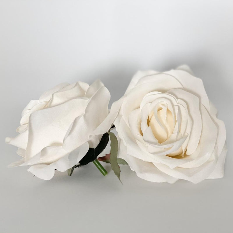 3.5" Ivory Rose