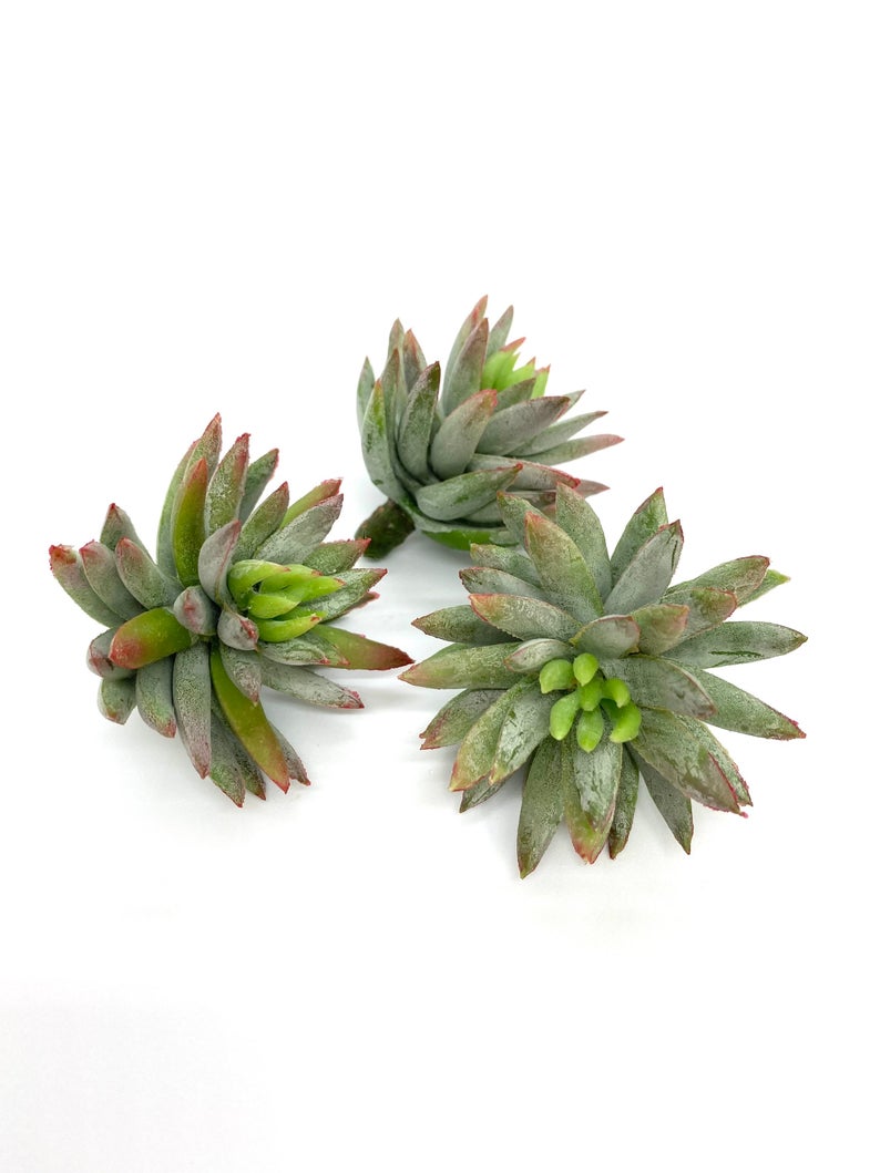 2.5" and 3" Frosted Green Succulent Artificial Succulent Fake Succulent Decor Faux Succulent Plant Frost Green Succulent Plant Artificial