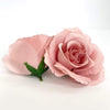 3.5" Two Tone Pink Rose